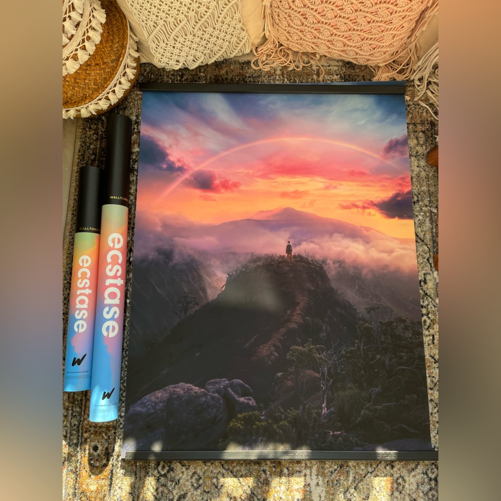 Ecstase “On Top of the World” Walltone Canvas Print - with Frame